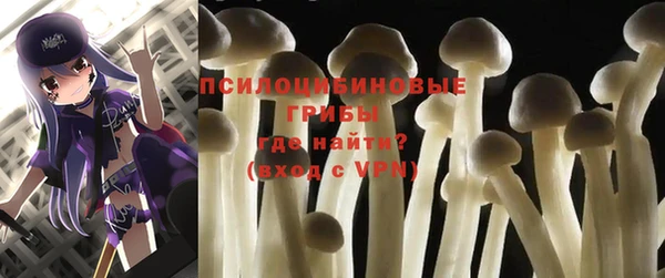 хмурый Алзамай