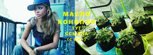 мет Арсеньев
