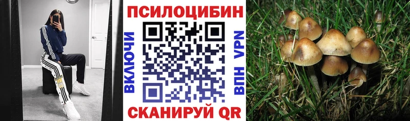 Псилоцибиновые грибы ЛСД  мега ссылка  Тюмень  даркнет сайт 