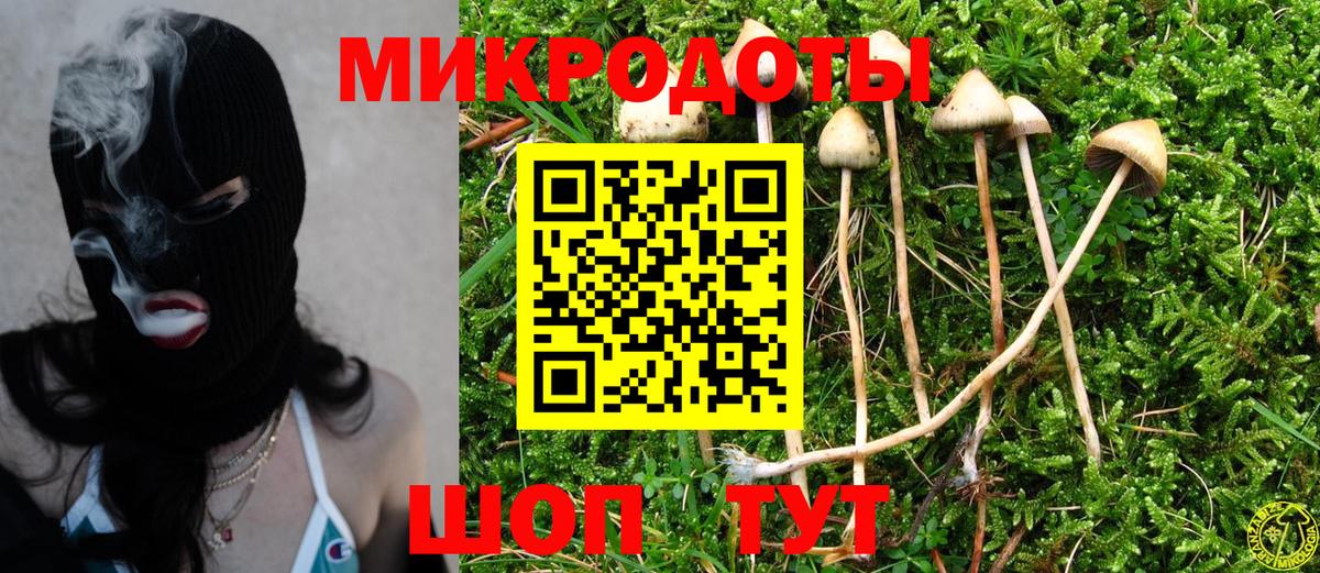 Галлюциногенные грибы Psilocybine cubensis Тюмень