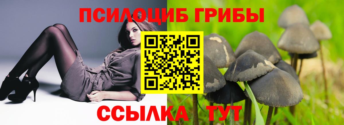 Галлюциногенные грибы Magic Shrooms  Вход с VPN  Псилоцибиновые грибы Psilocybine cubensis  Тюмень 